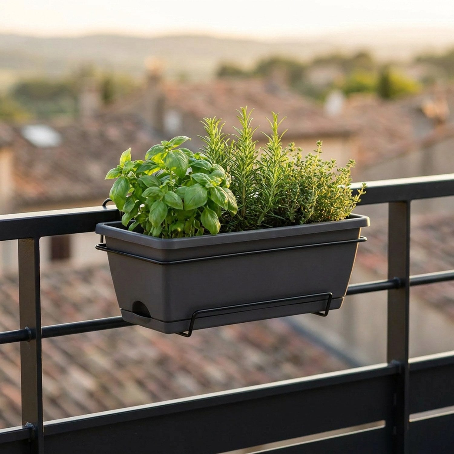 Jardinière de balcon noire avec herbes aromatiques sur terrasse urbaine au coucher du soleil