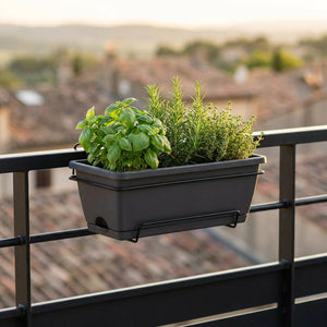 Jardinière de balcon noire avec herbes aromatiques sur terrasse urbaine au coucher du soleil