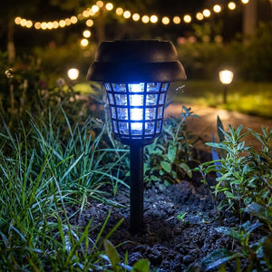 Lampe solaire anti-moustiques plantée dans la terre au milieu d'herbes et plantes nocturnes