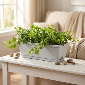 Jardinière rectangulaire avec lierre dans salon sur table console blanche