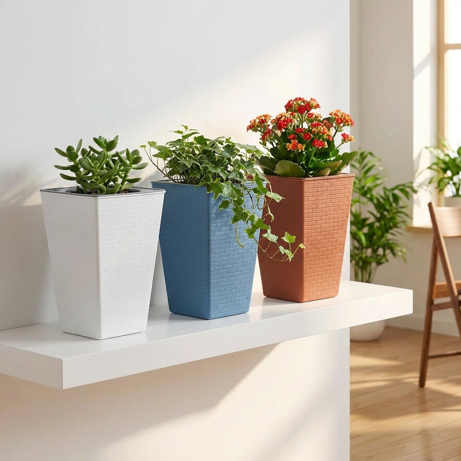 Trio de jardinières carrées blanc bleu et marron avec plantes sur étagère murale