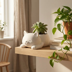 Cache-pot chat blanc avec succulente sur étagère murale en bois dans salon