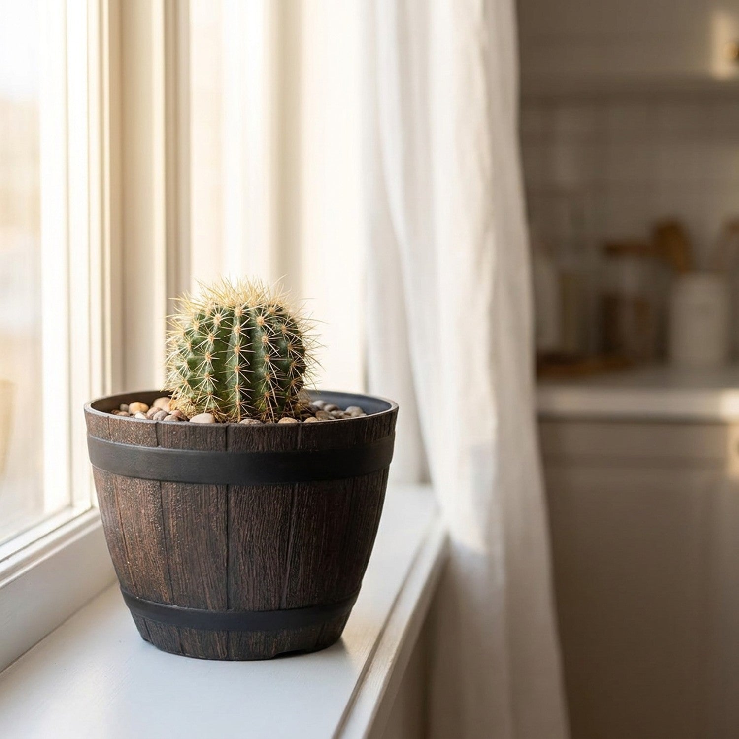 Pot de fleur tonneau imitation bois avec succulent sur rebord de fenêtre ensoleillé