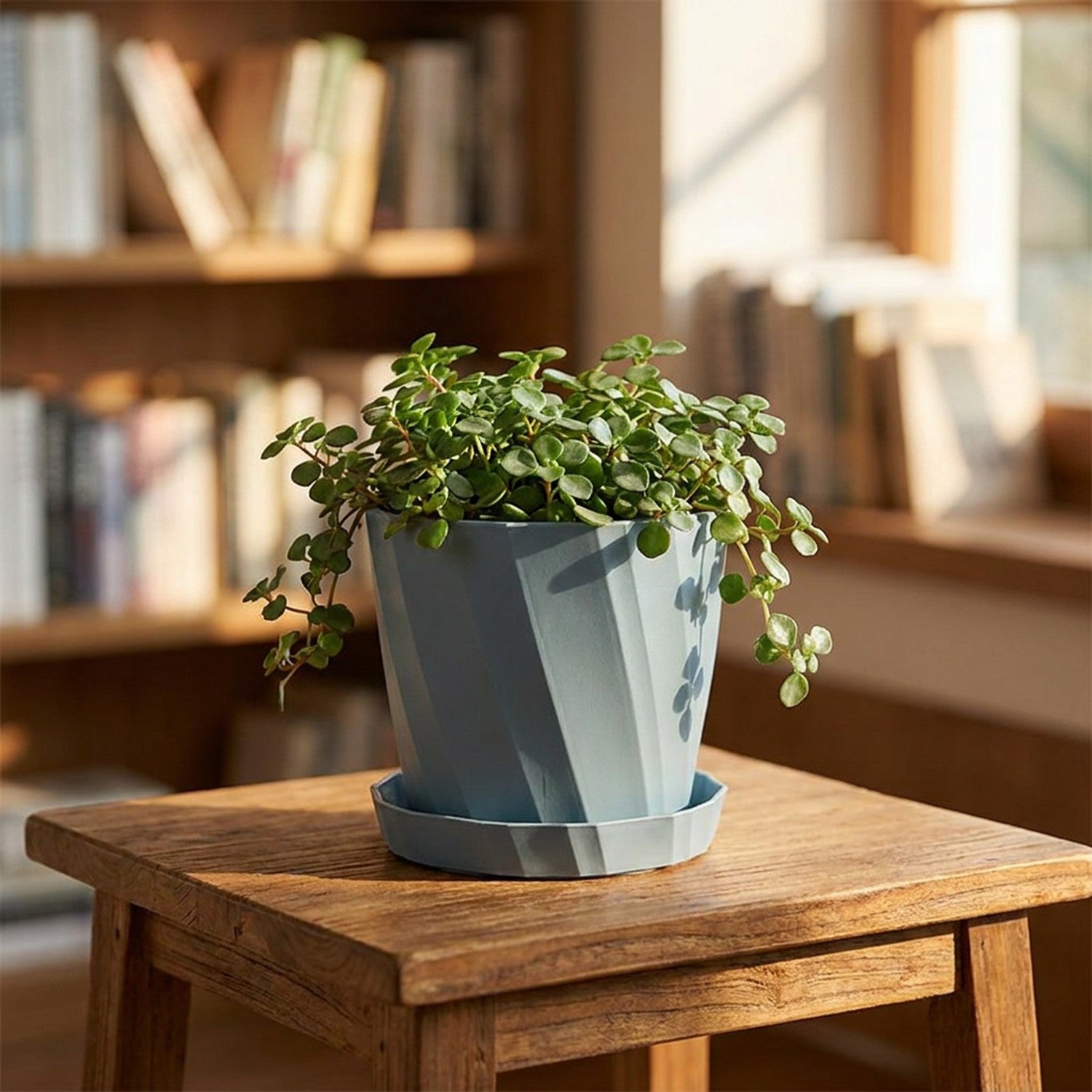 Cache-pot décoratif bleu nervuré avec plante retombante sur bureau bibliothèque