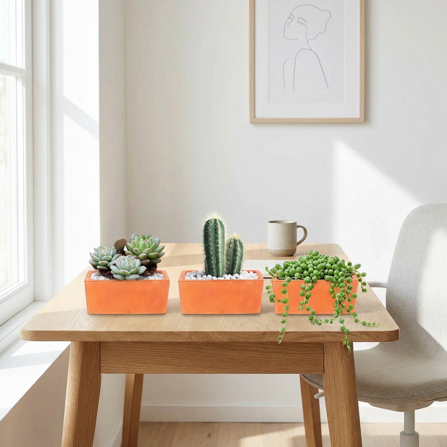 Trois pots en terre cuite rectangulaires avec succulentes et cactus sur une table de bureau