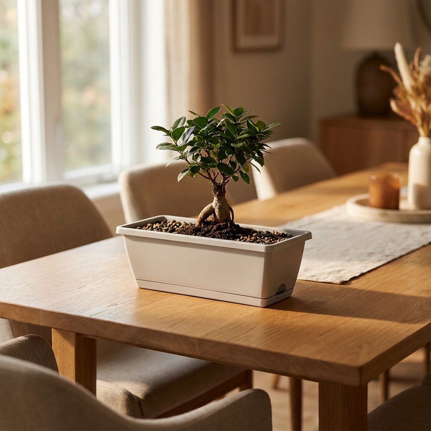 Jardinière rectangulaire avec bonsaï sur table en chêne dans salon