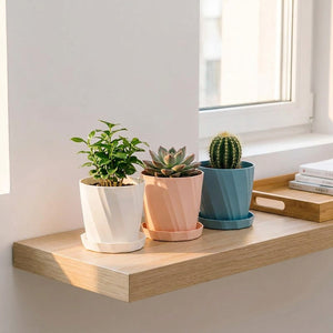 Trio de cache-pots nervurés blanc rose bleu avec plantes sur étagère fenêtre