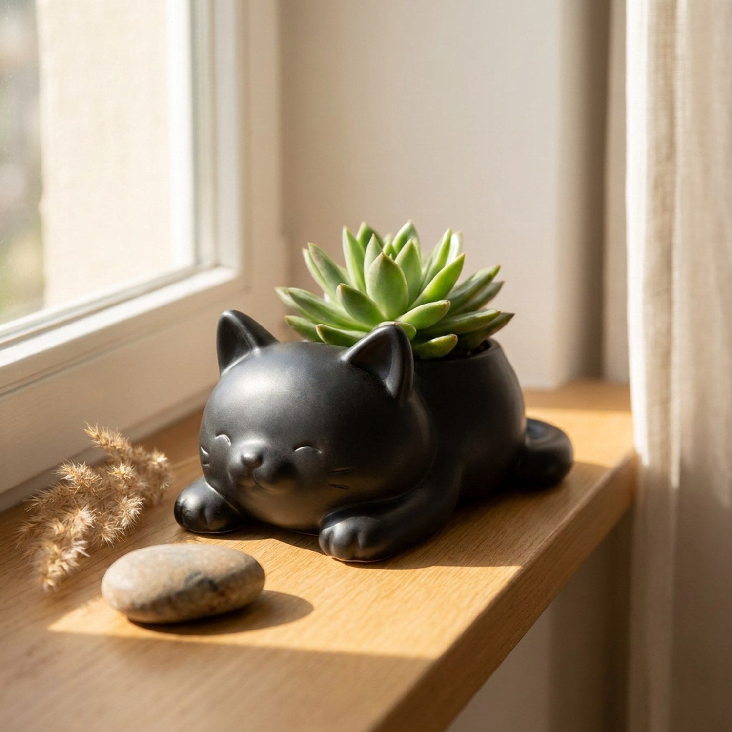 Jardinière chat noir avec succulente sur rebord de fenêtre