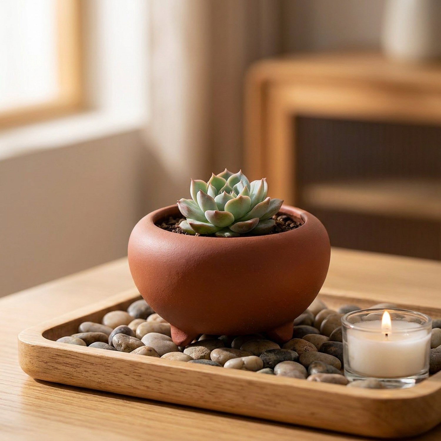 Mini pot bonsaï tripode terracotta avec echeveria sur plateau bois