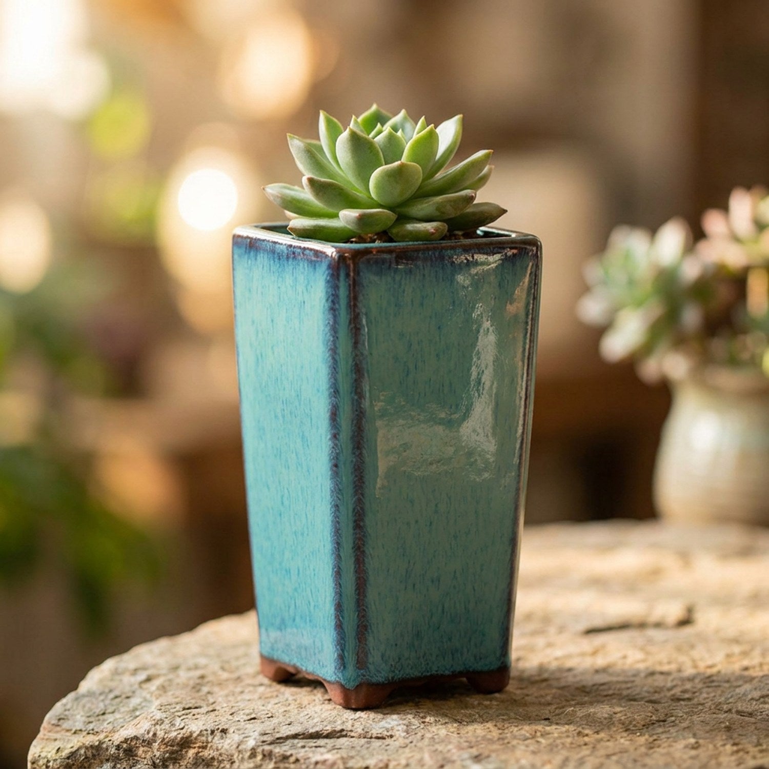 Gros plan sur l émail réactif turquoise et la base en terre cuite du pot avec une succulente