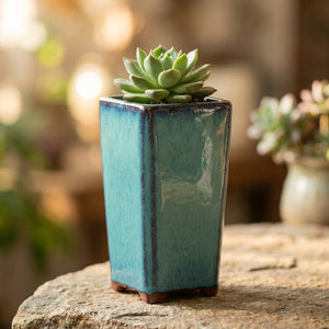 Gros plan sur l émail réactif turquoise et la base en terre cuite du pot avec une succulente