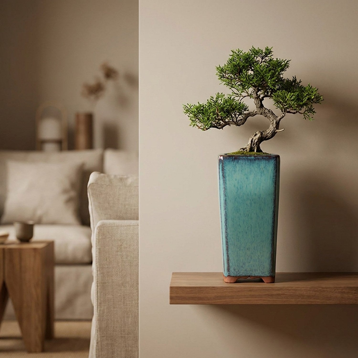Pot en céramique turquoise accueillant un petit bonsaï sur une étagère murale