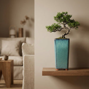 Pot en céramique turquoise accueillant un petit bonsaï sur une étagère murale