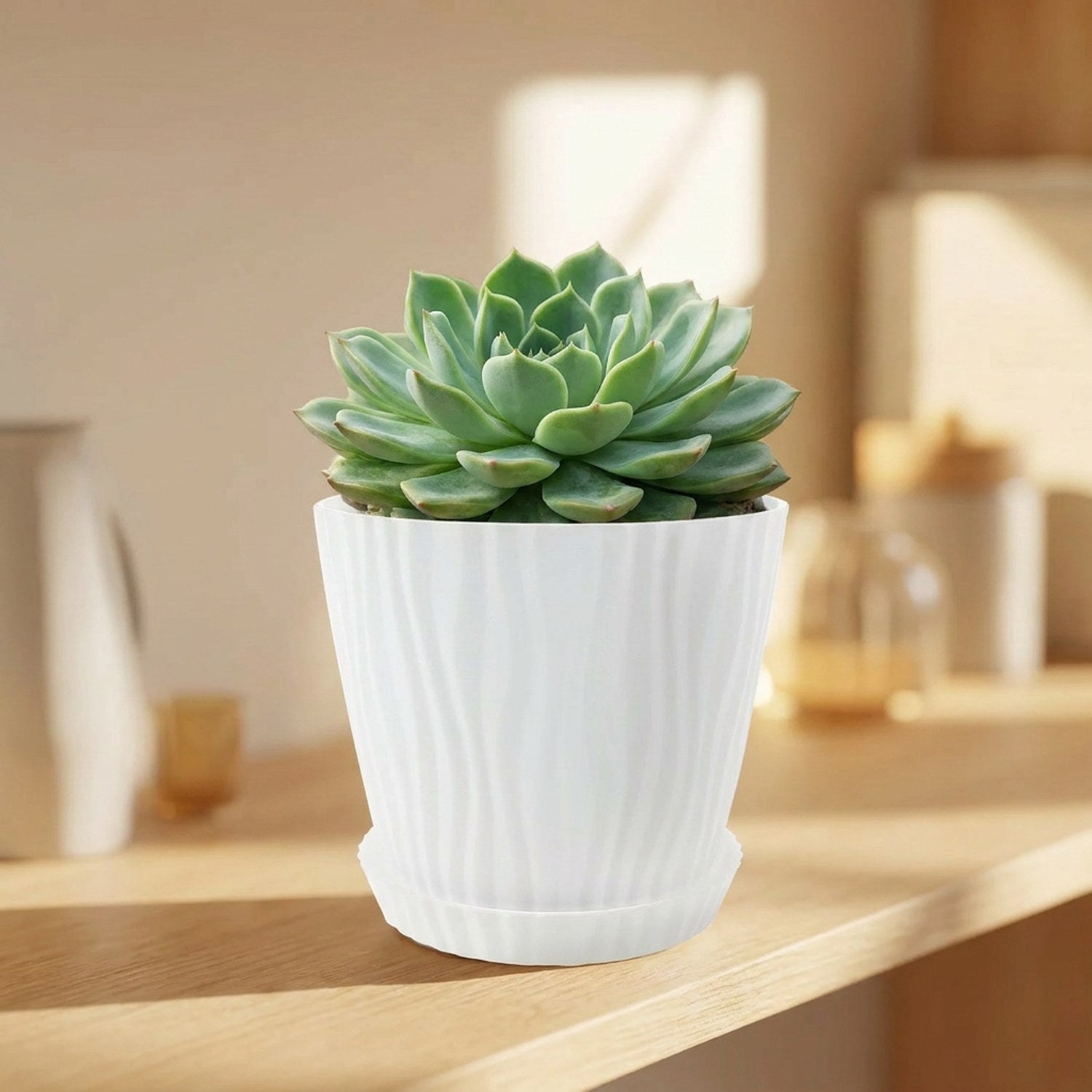 Cache-pot PP blanc à texture ondulée avec succulent, soucoupe incluse