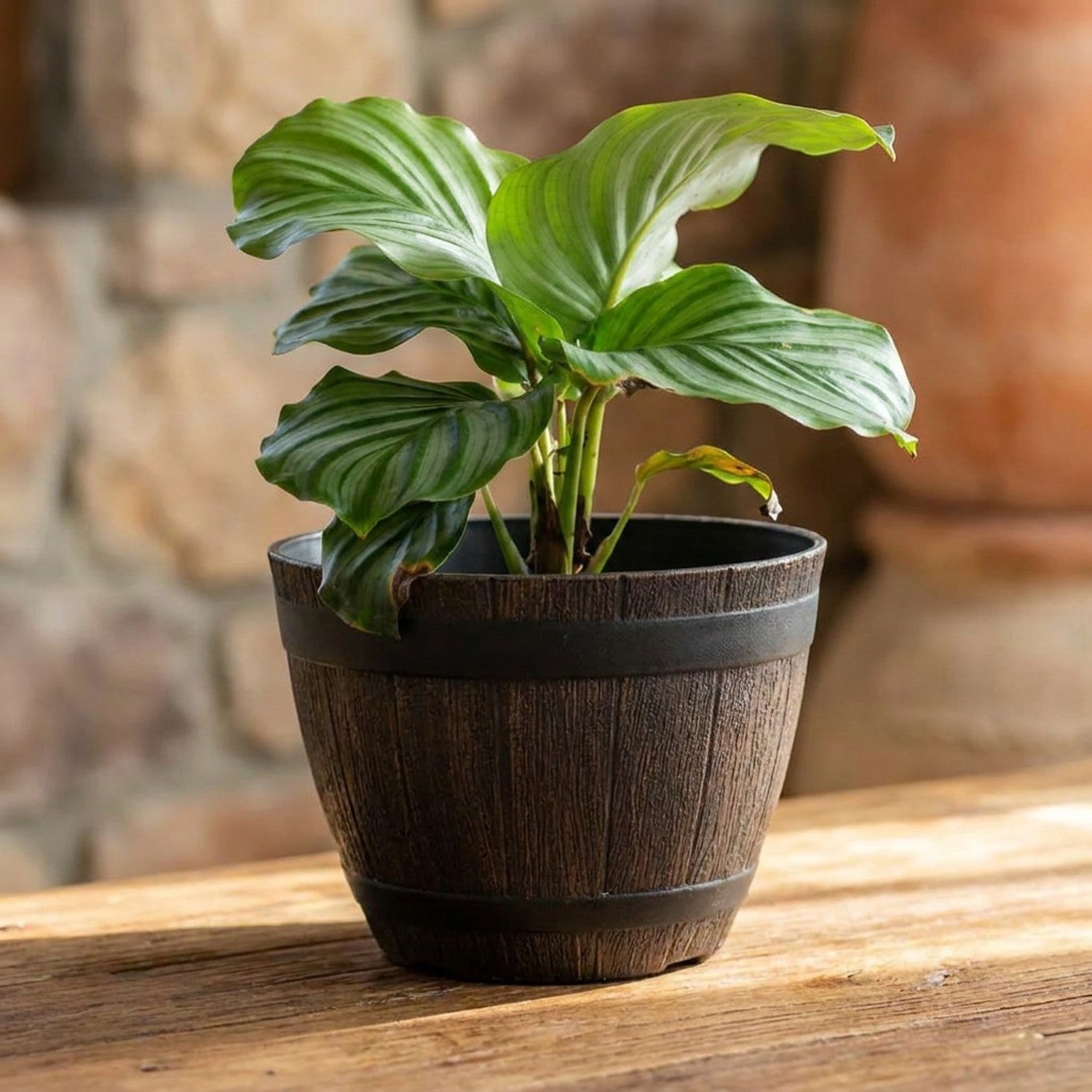 Pot de fleur tonneau style vintage en résine imitation bois avec plante verte posé sur surface en bois