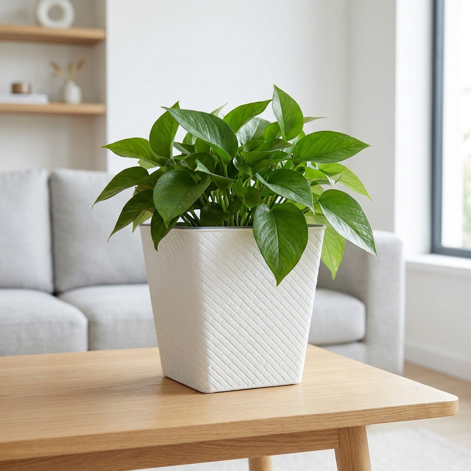 Jardinière carrée blanche motif brique avec plante verte en intérieur nordique