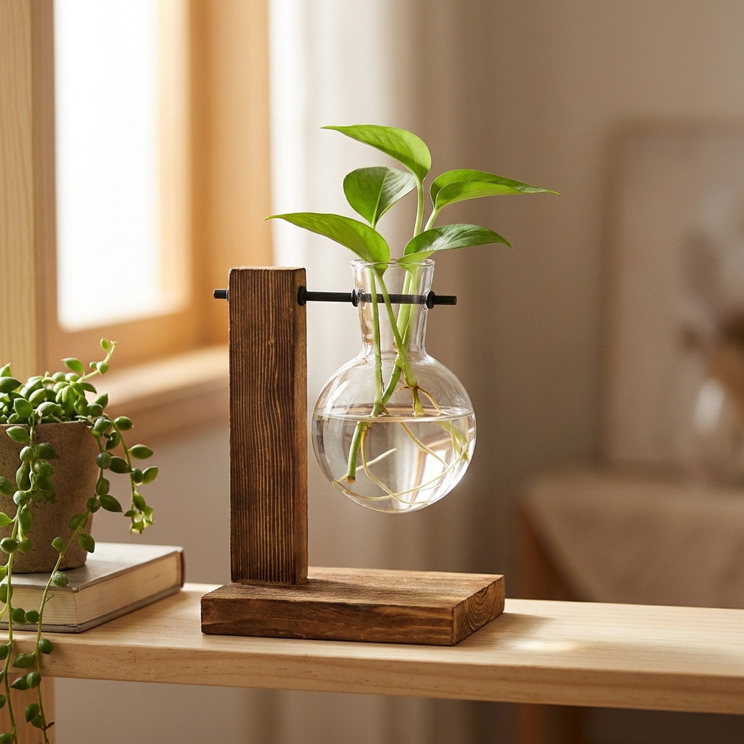Vase à bouture en verre avec une bouture de pothos et ses racines dans l'eau sur support en bois