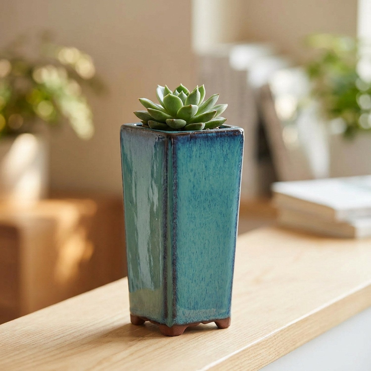 Pot de fleurs carré en céramique émaillée turquoise avec une plante verte sur une étagère lumineuse