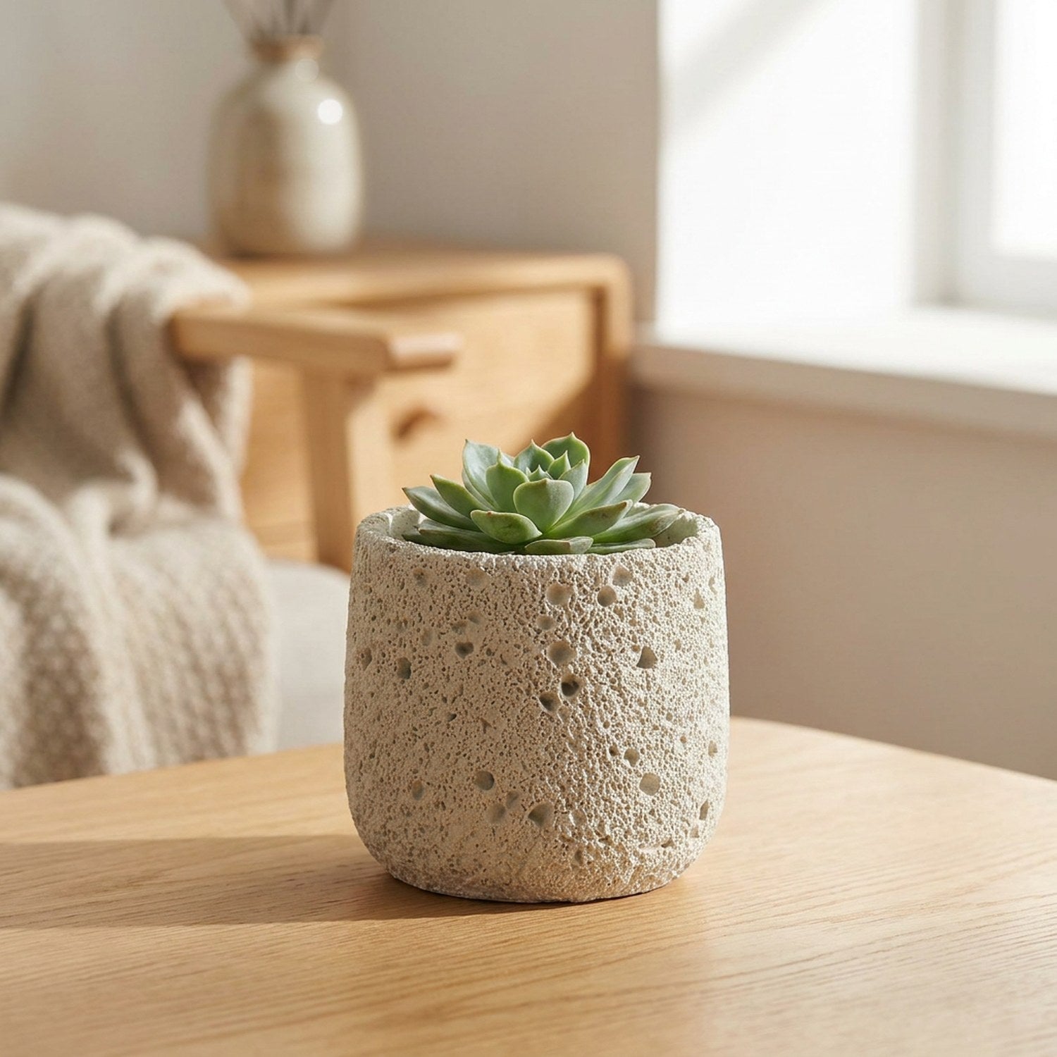 Cache-pot en ciment beige effet pierre volcanique avec une succulente sur une table en bois
