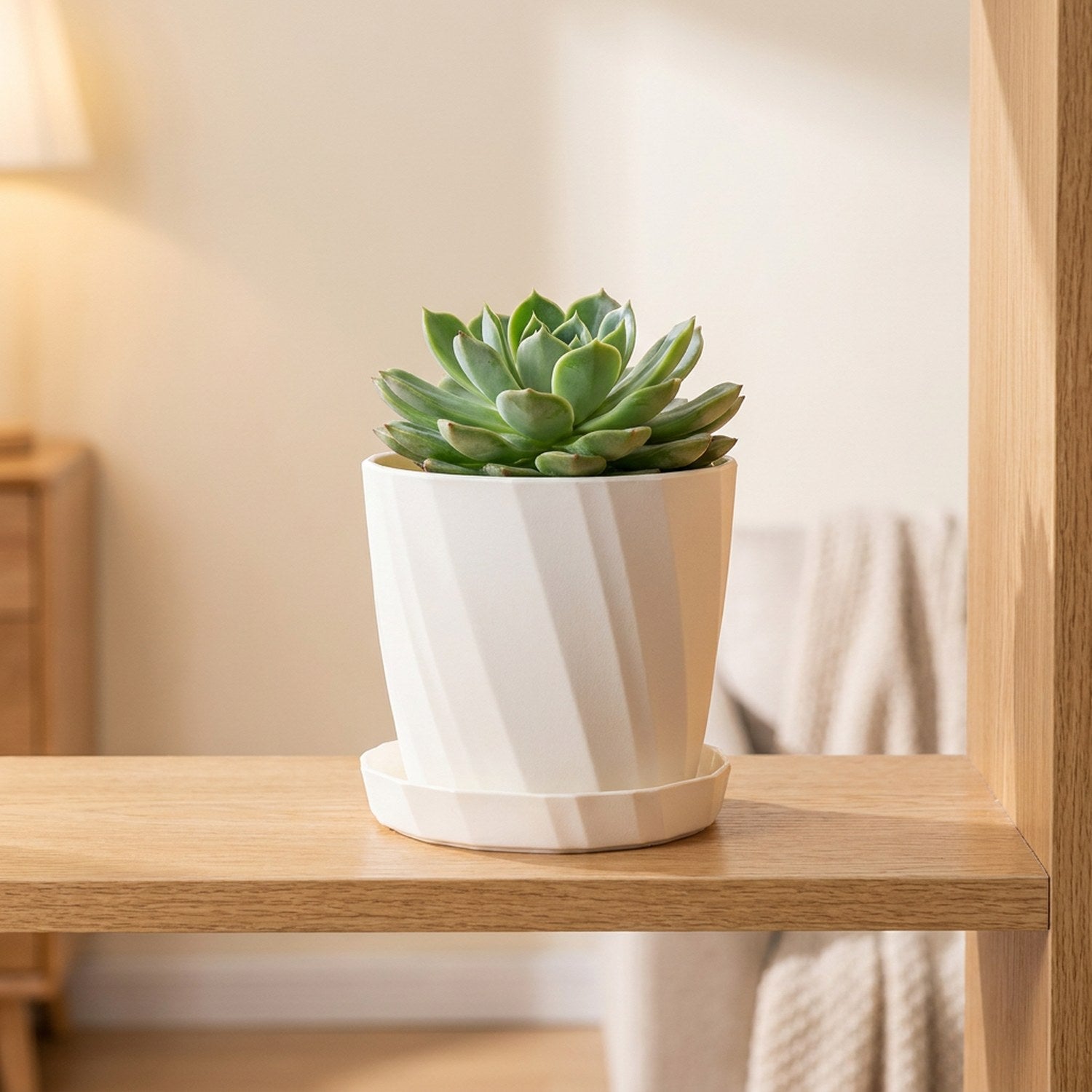 Cache-pot décoratif blanc à texture nervurée diagonale avec plante succulente sur étagère