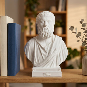 Buste de Platon blanc sur étagère en bois avec livres et plante