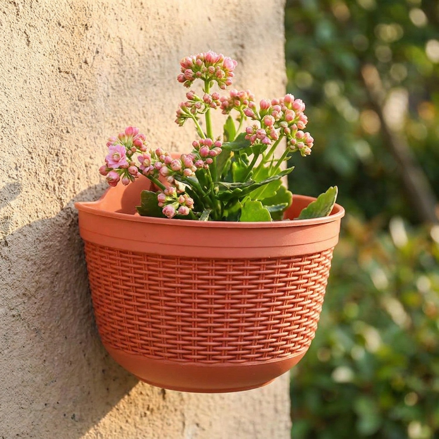 Pot de fleurs mural effet rotin tressé terracotta suspendu accueillant une plante fleurie sur un mur extérieur