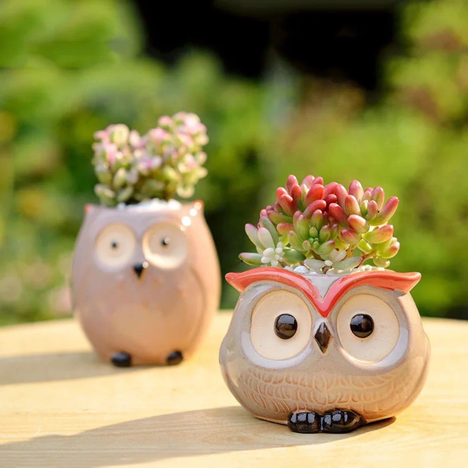 Mini pots hibou en céramique avec succulentes colorées sur table en bois extérieur