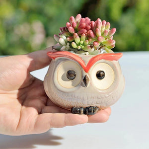 Main tenant un mini pot hibou en céramique avec succulente pour montrer la taille