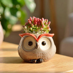 Mini pot hibou en céramique avec succulente rose et verte posé sur bois chaud