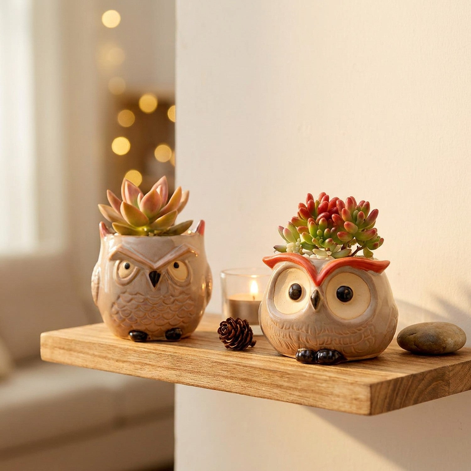 Deux mini pots hibou en céramique avec succulentes sur une étagère flottante bois