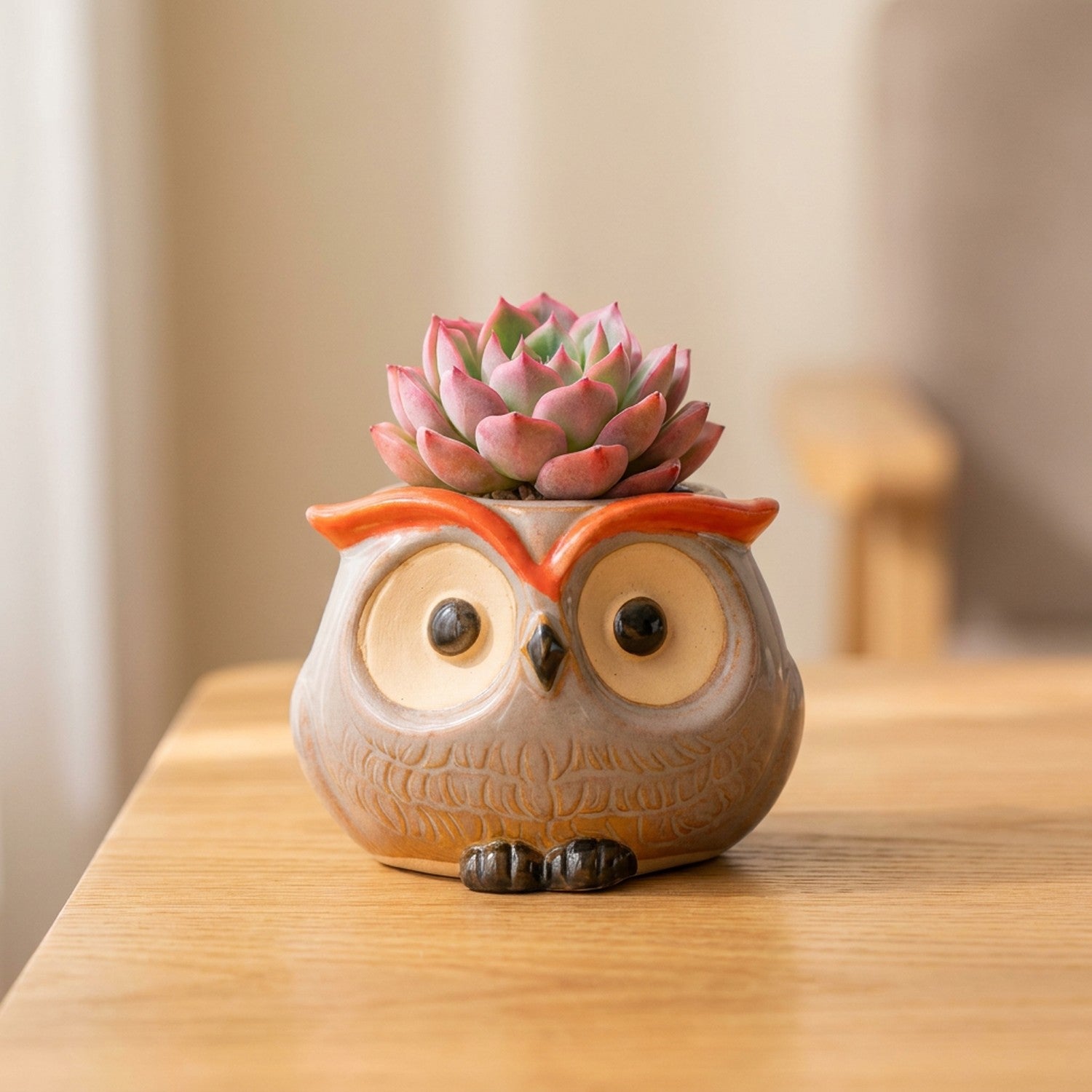 Mini pot hibou céramique modèle Ailes avec succulente