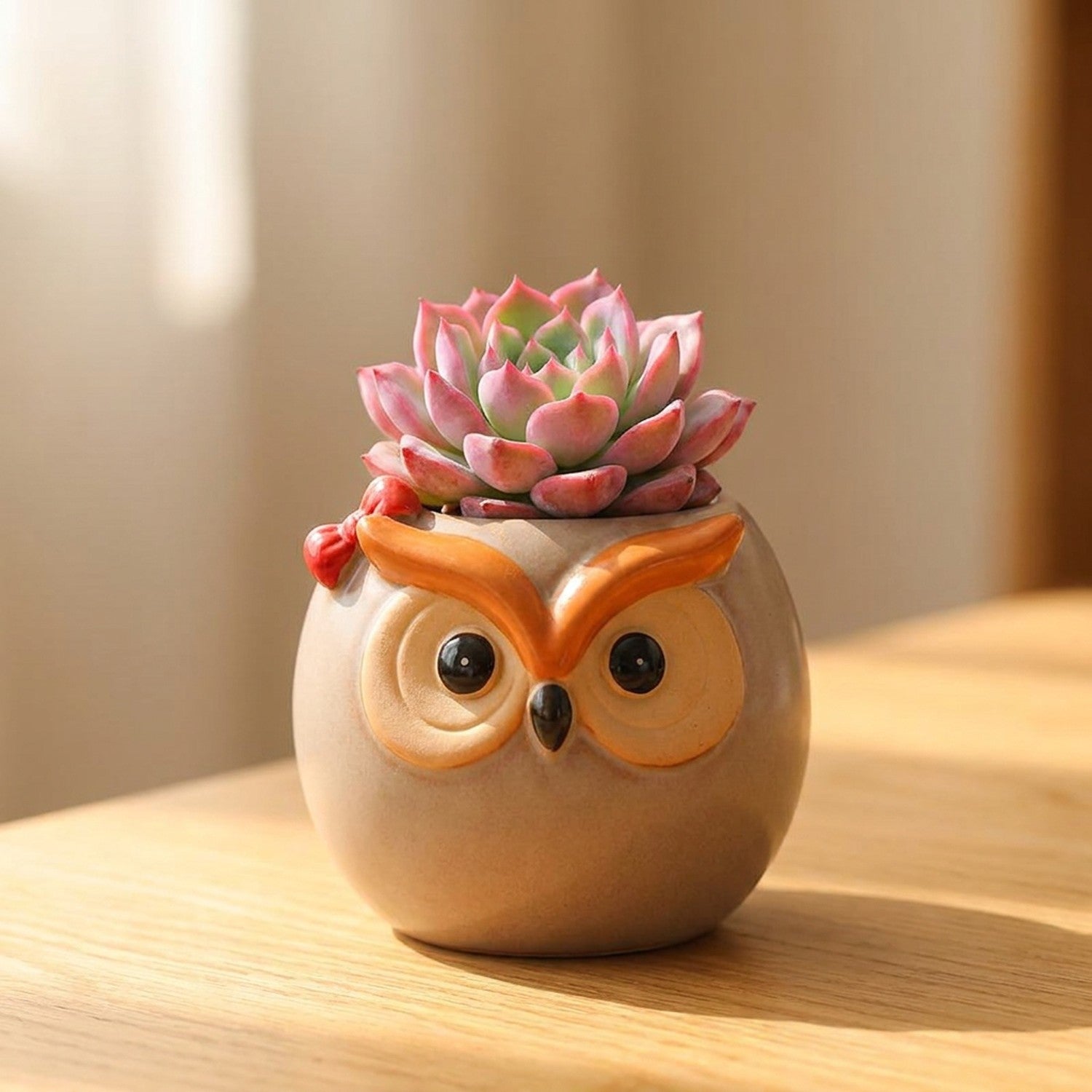 Mini pot hibou céramique modèle Boule avec succulente