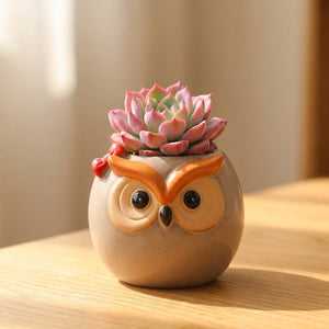 Mini pot hibou céramique modèle Boule avec succulente