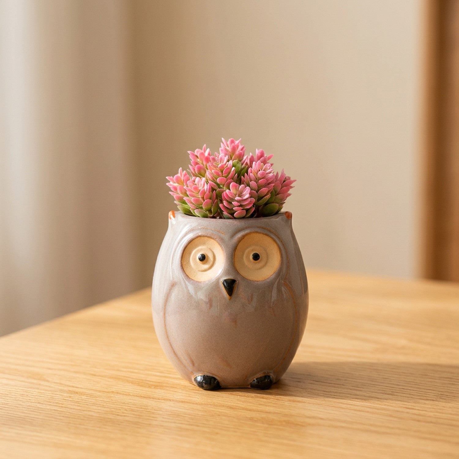 Mini pot hibou céramique modèle Ovale avec succulente