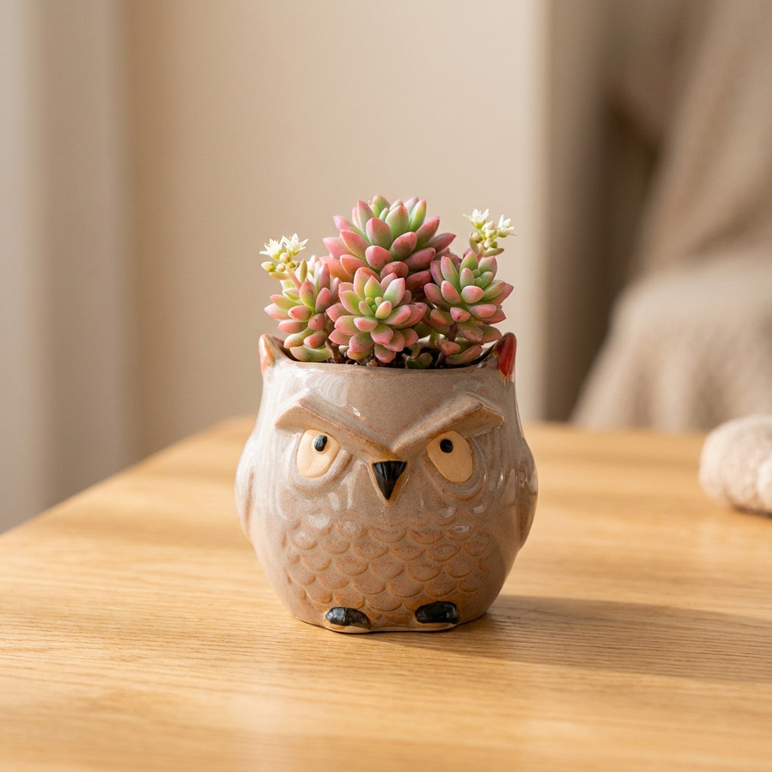 Mini pot hibou céramique modèle Sage avec succulente