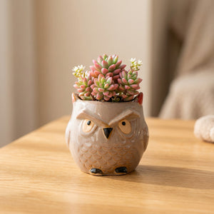 Mini pot hibou céramique modèle Sage avec succulente