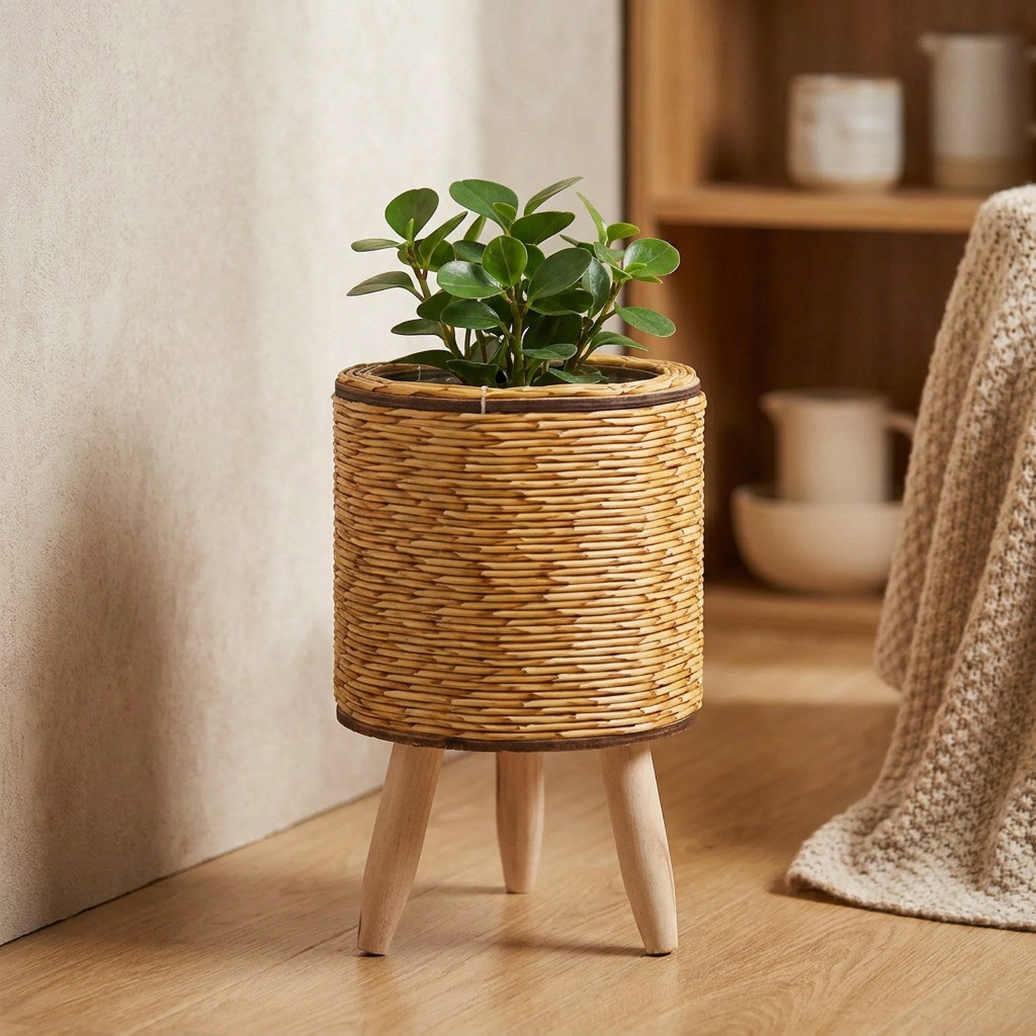 Cache-pot cylindrique en rotin naturel clair sur pieds en bois avec plante verte
