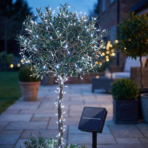 Guirlande lumineuse solaire blanche sur un arbre de terrasse