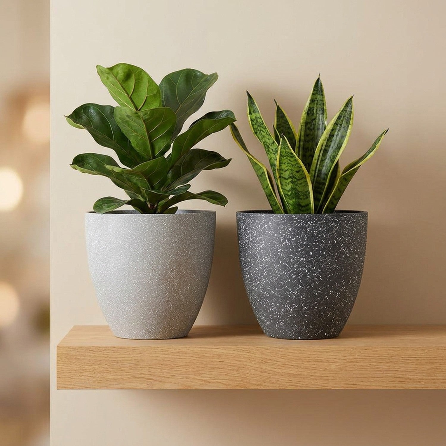 Deux pots de fleurs effet pierre givrée avec plantes vertes sur une étagère en bois