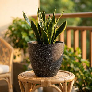Pot de fleurs effet pierre givrée noir avec une plante sur un balcon ensoleillé