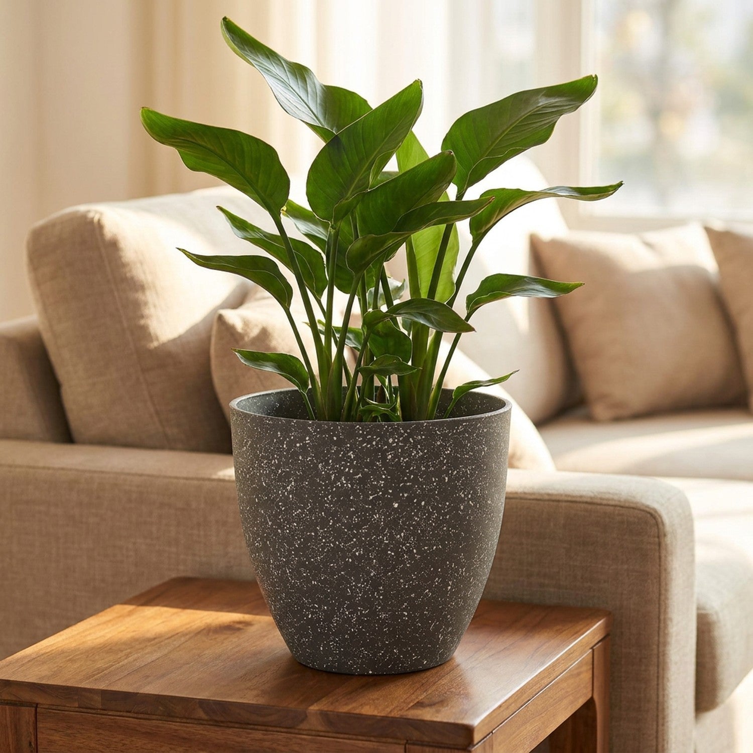 Pot de fleurs effet pierre givrée gris moucheté avec une plante verte dans un salon