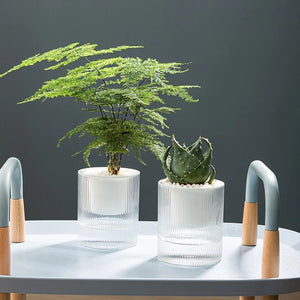 Pot auto-arrosant transparent design rainures plante intérieur