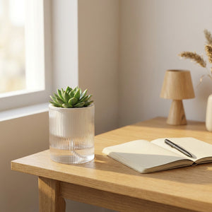 Pot auto-arrosant transparent avec succulente sur bureau en bois à côté d'un carnet ouvert, lumière matinale douce