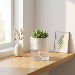 Pot auto-arrosant transparent avec succulente sur étagère bois entre vase céramique et cadre botanique