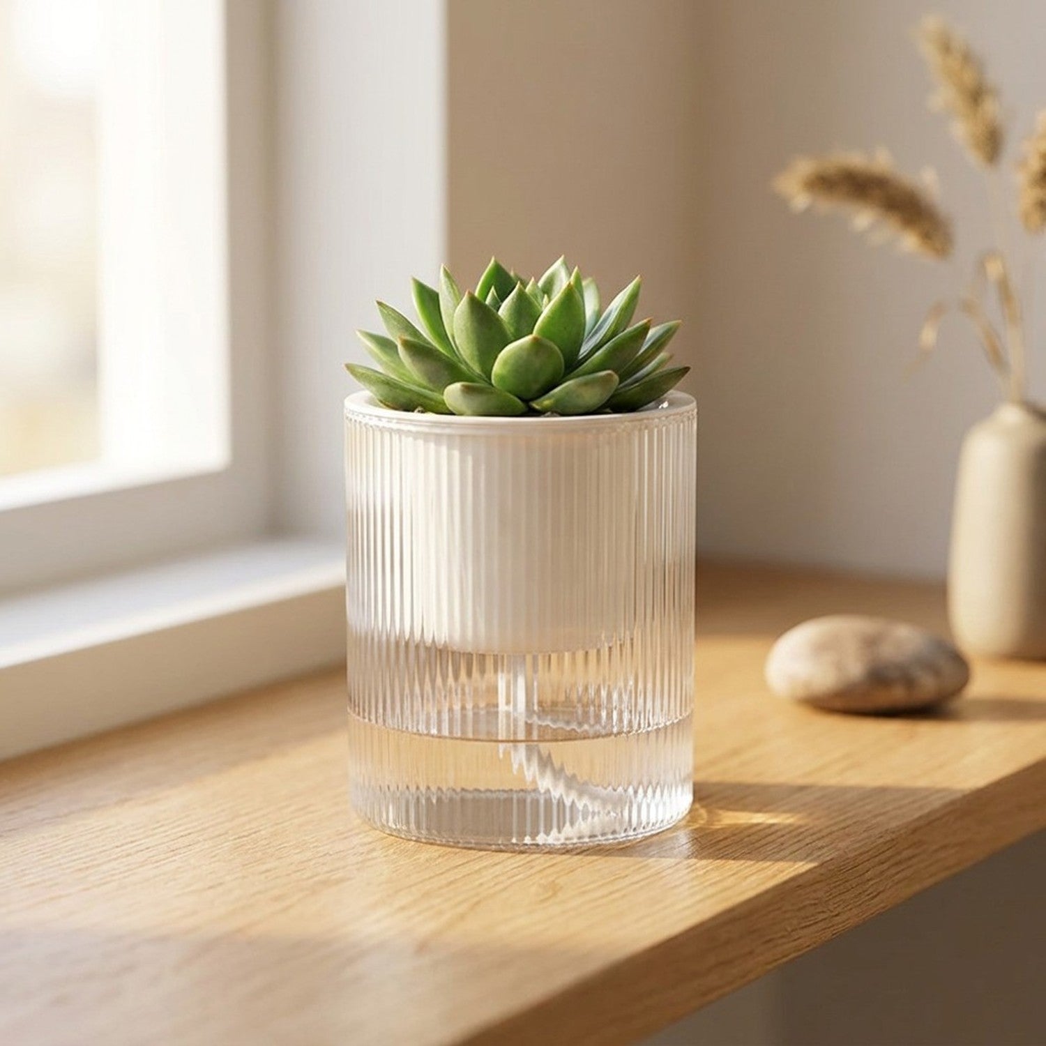 Pot auto-arrosant transparent rainuré avec plante verte posé sur une étagère en bois dans un intérieur chaleureux