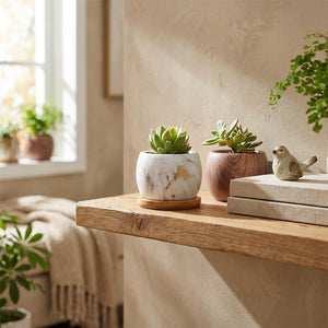 Pot céramique succulentes sur étagère en bois - décoration nordique
