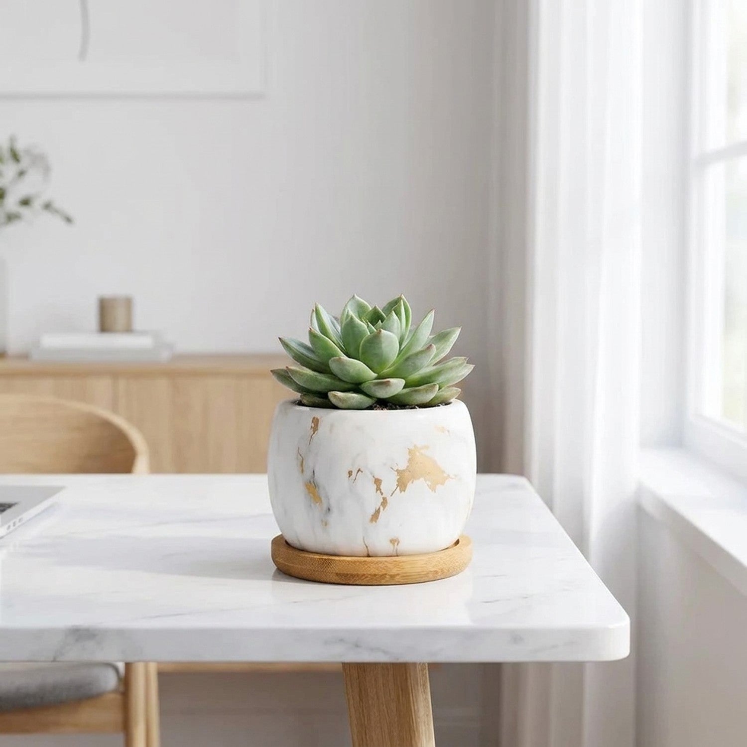 Pot céramique succulentes sur surface marbre - bureau minimaliste
