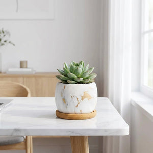 Pot céramique succulentes sur surface marbre - bureau minimaliste