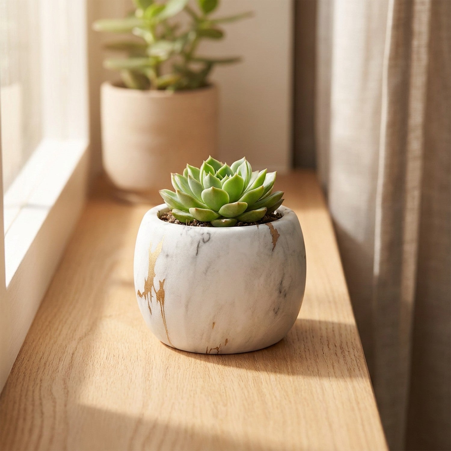 Pot en céramique blanc pour succulentes - style nordique
