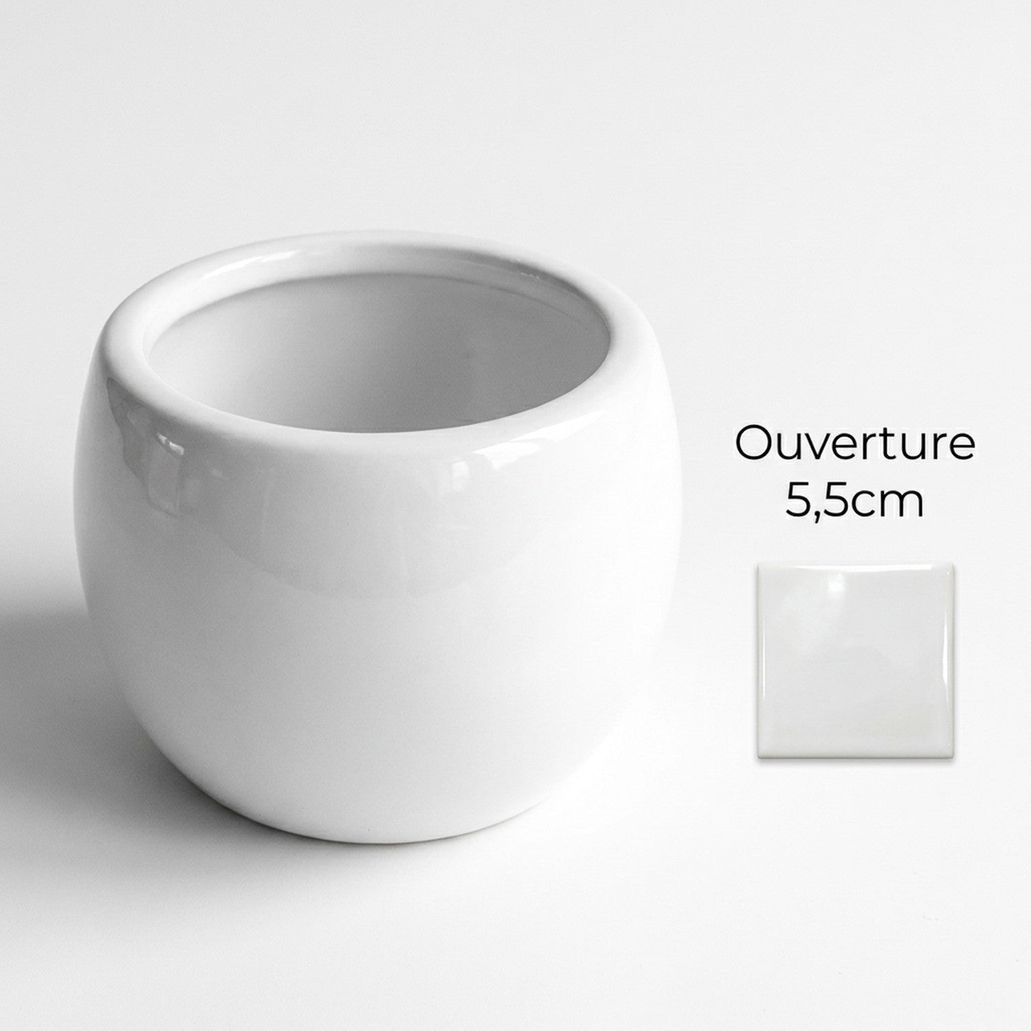 Pot rond céramique blanc pour succulentes